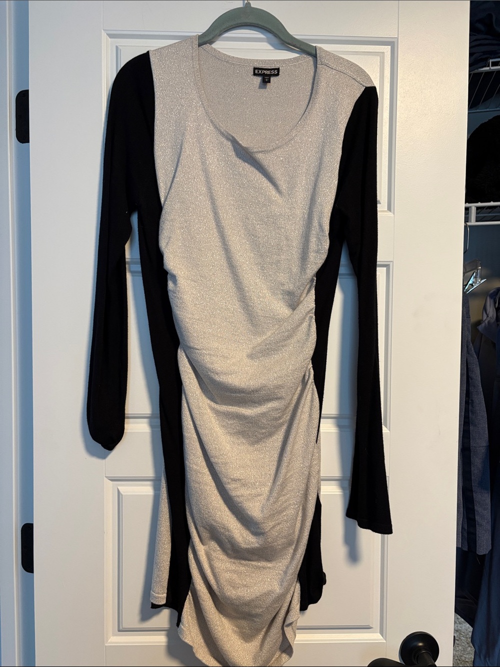Express Silver and Black Ruched Long-Sleeve Dress